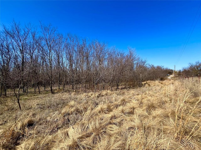 view of local wilderness