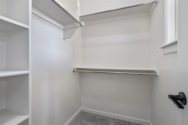 walk in closet with carpet