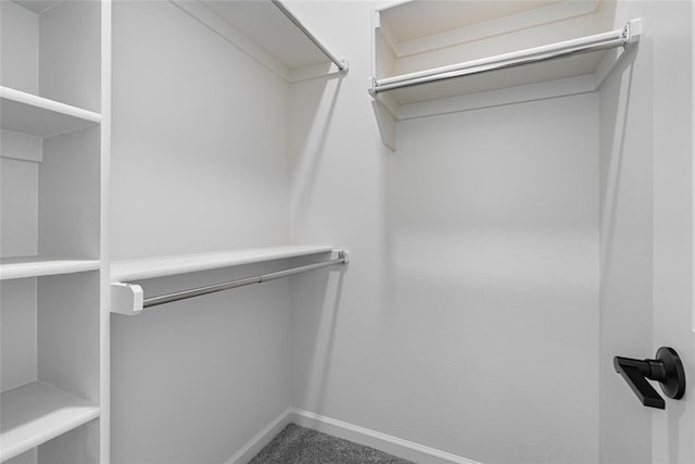 spacious closet featuring carpet flooring