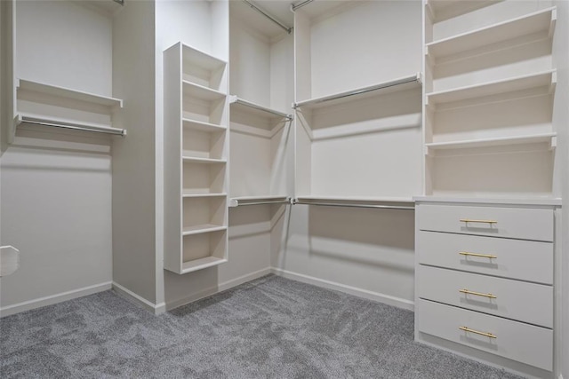 walk in closet featuring carpet flooring