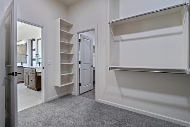 spacious closet featuring light colored carpet