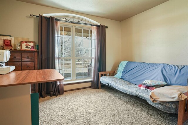 12611 N County Road 3232nd Rd, Paoli, OK 73074 - living area featuring carpet flooring