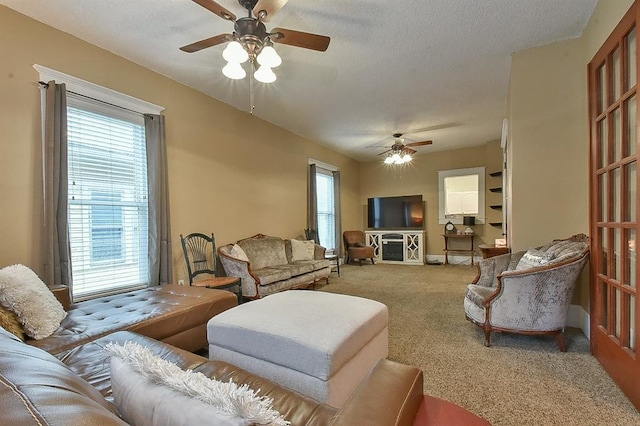 carpeted living area featuring a wealth of natural light and a textured ceiling