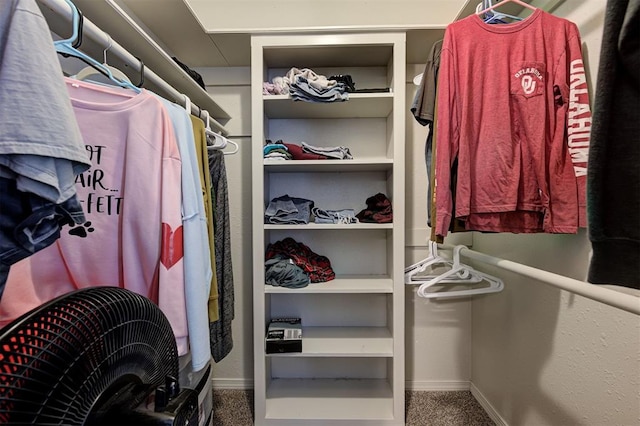 walk in closet featuring carpet floors