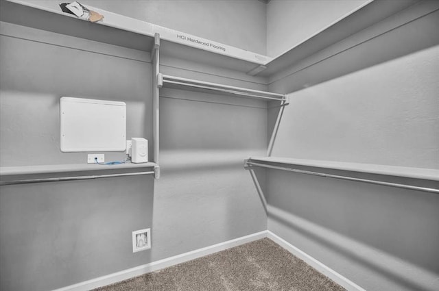 spacious closet with carpet floors