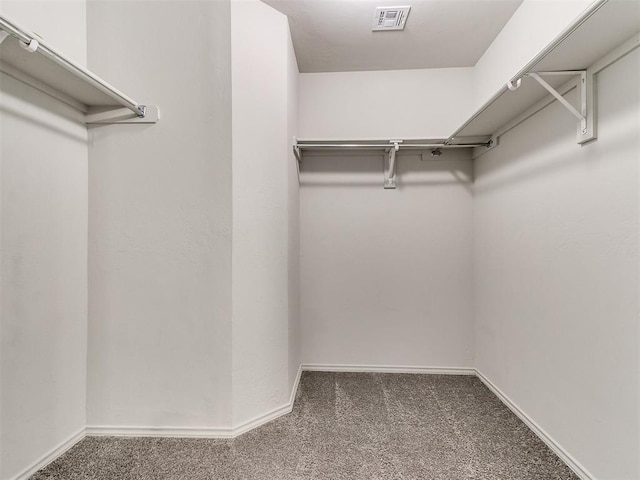 walk in closet featuring visible vents and carpet floors