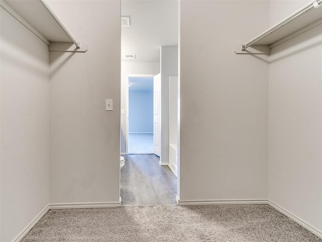 walk in closet featuring visible vents and carpet floors