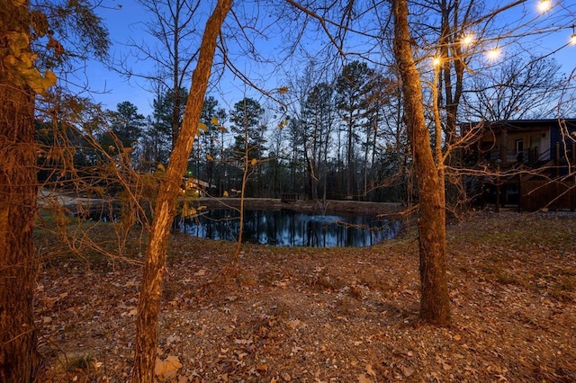 view of water feature