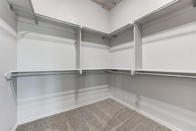 spacious closet with carpet flooring