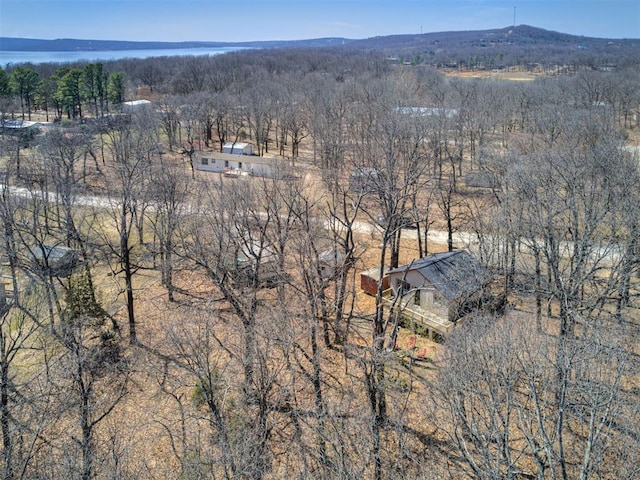 aerial view with a wooded view