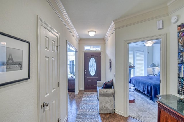 entryway with crown molding, baseboards, and dark wood-type flooring