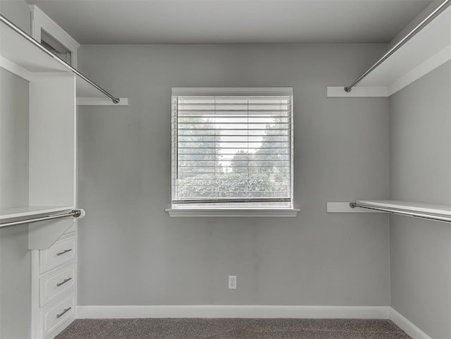 4303 N Redmond Ave, Bethany, OK 73008 - walk in closet featuring carpet