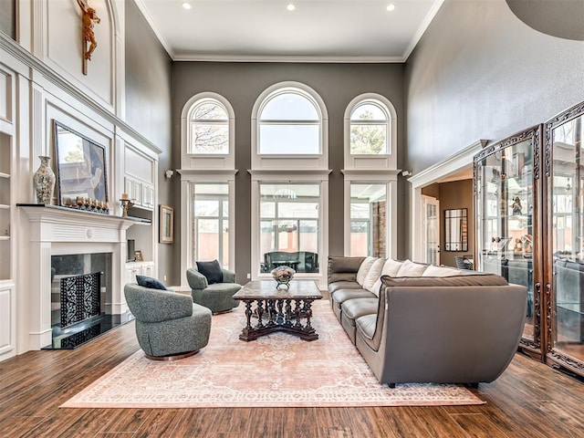 living area with dark wood-style floors, crown molding, a towering ceiling, and a premium fireplace