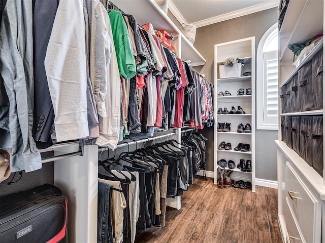 spacious closet featuring wood finished floors