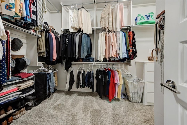 spacious closet with carpet floors