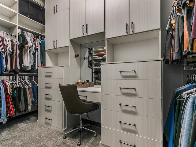 spacious closet with carpet