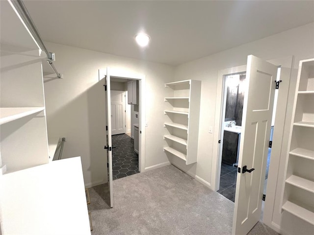 walk in closet with carpet