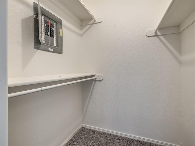 walk in closet featuring carpet floors