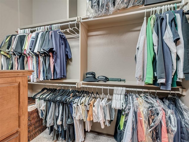 view of spacious closet