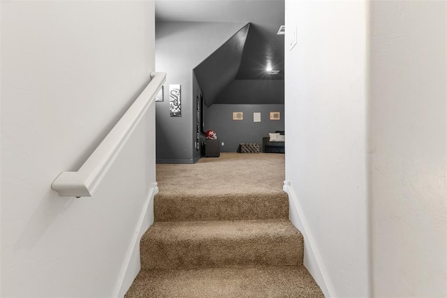 stairway with carpet flooring