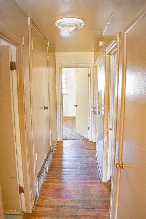 hallway featuring wood finished floors