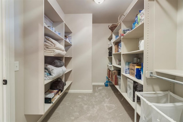 spacious closet featuring carpet floors