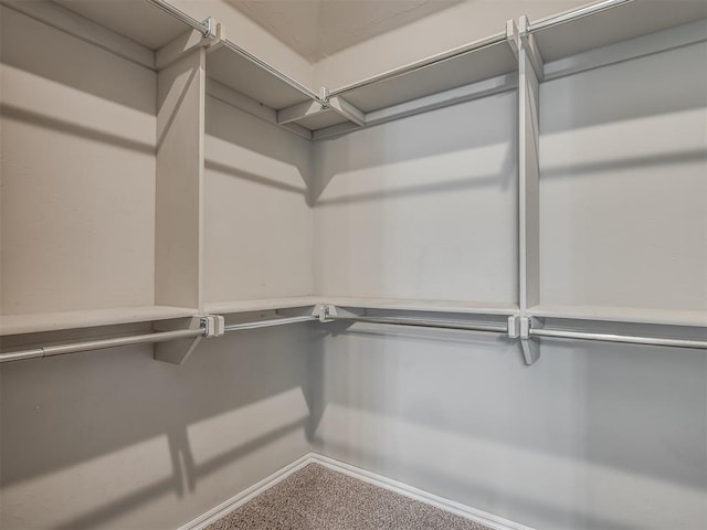 walk in closet featuring carpet flooring