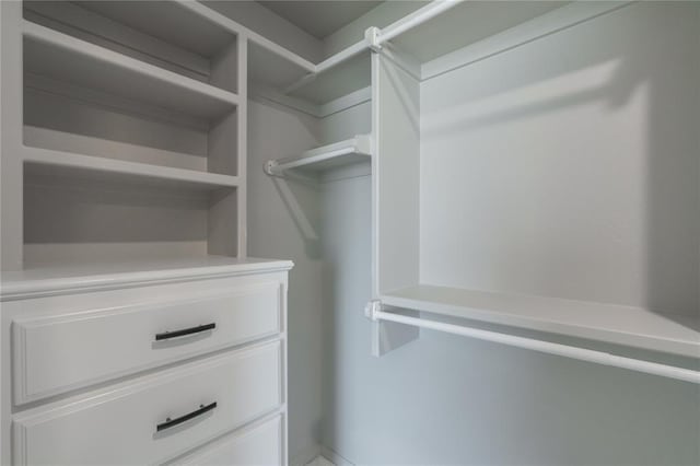 view of walk in closet