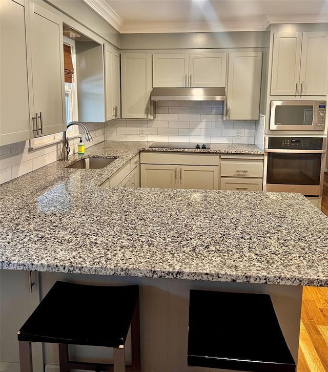 kitchen with decorative backsplash, under cabinet range hood, appliances with stainless steel finishes, and a sink