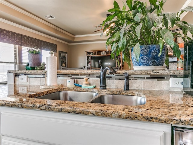 details with light stone counters, visible vents, a sink, crown molding, and a raised ceiling