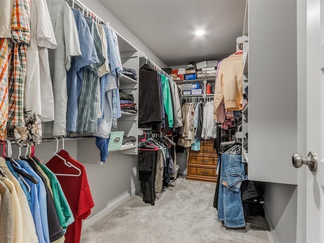 spacious closet featuring carpet floors