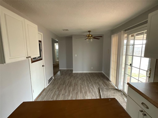 interior space featuring light wood-style flooring, plenty of natural light, and visible vents