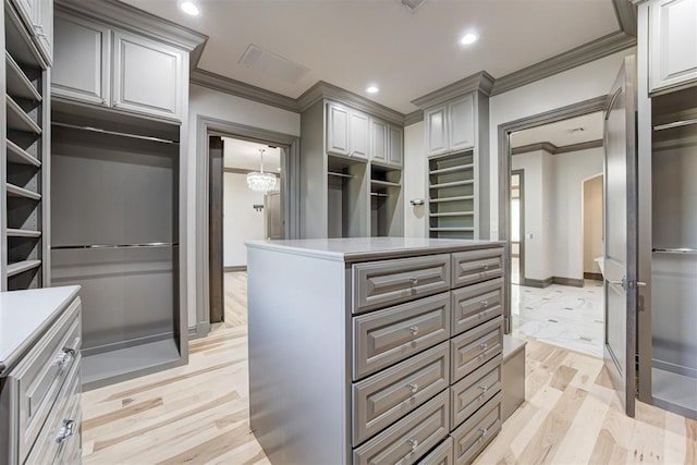 walk in closet with visible vents and light wood-style floors