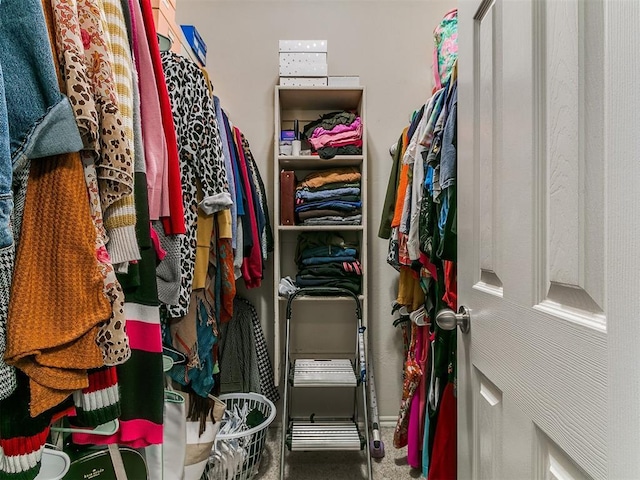 walk in closet featuring carpet floors