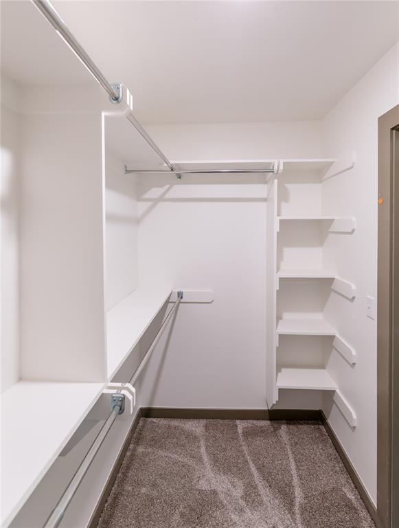 spacious closet with carpet