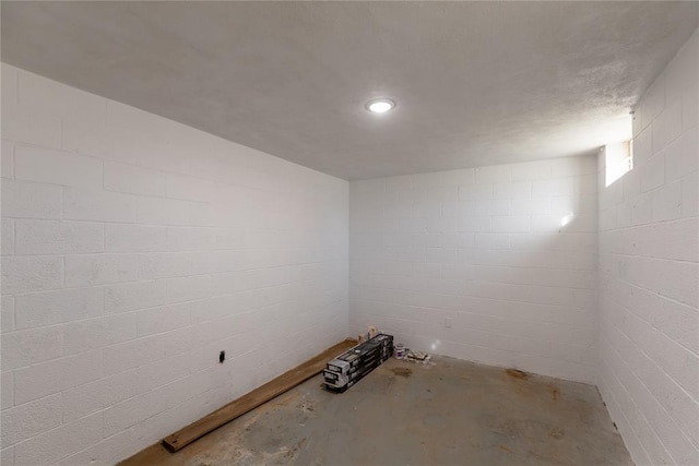 basement featuring concrete block wall