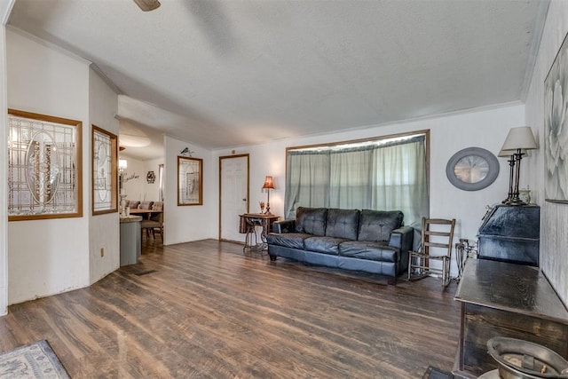 living area featuring crown molding, wood finished floors, and a textured ceiling