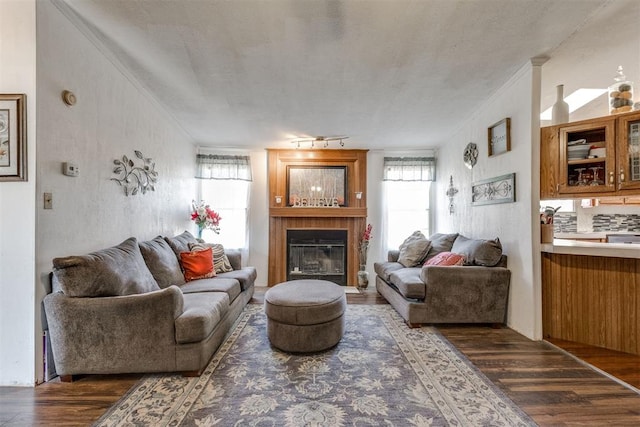 living room featuring wood finished floors, track lighting, a textured ceiling, a glass covered fireplace, and crown molding