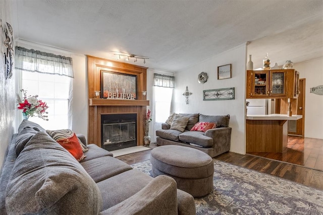 living area with a wealth of natural light, a textured ceiling, wood finished floors, and a fireplace