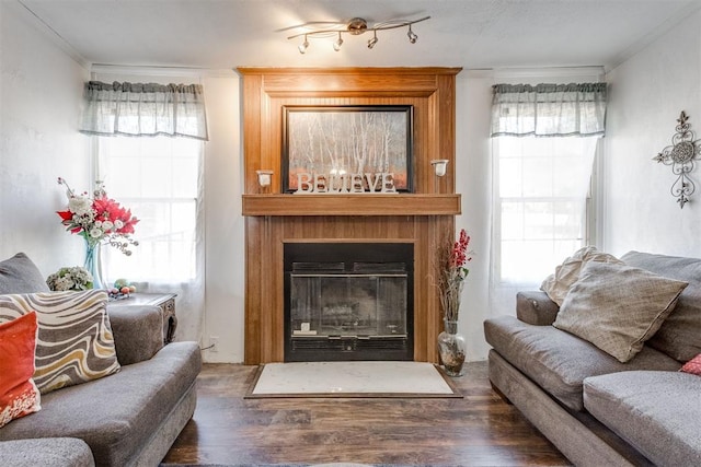 living room with a large fireplace, plenty of natural light, wood finished floors, and ornamental molding