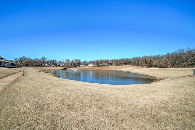 view of water feature