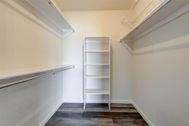 walk in closet featuring dark wood-style floors