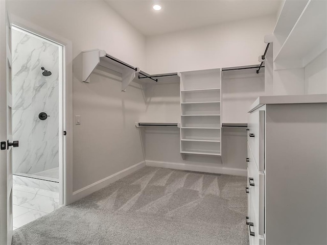 walk in closet featuring carpet flooring