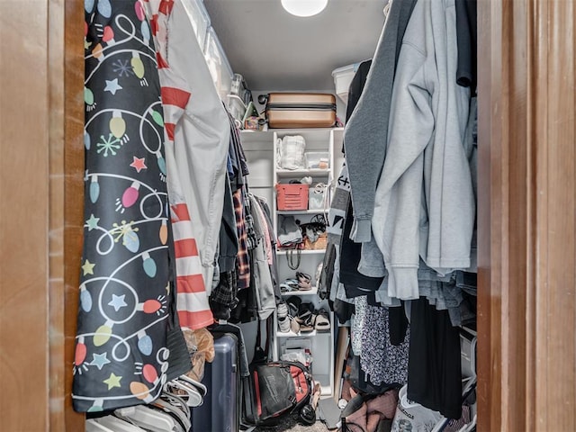 view of walk in closet