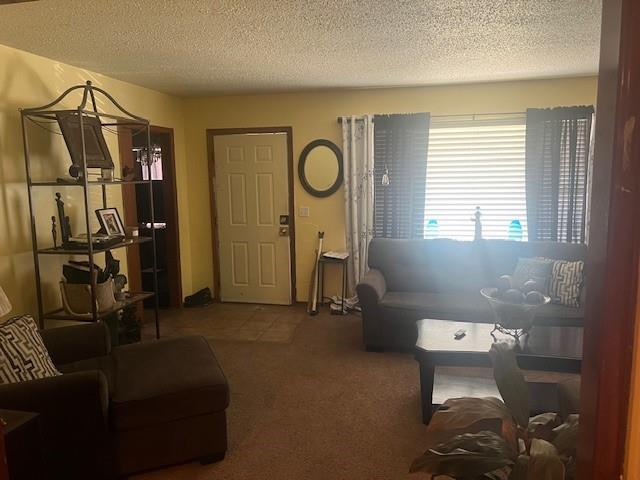 carpeted living area featuring a textured ceiling