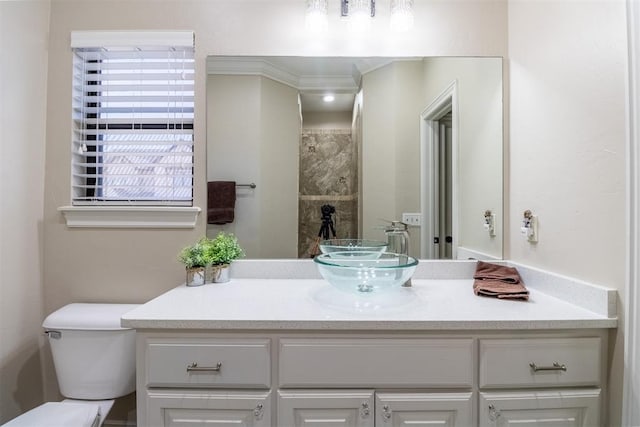 bathroom featuring toilet, vanity, and crown molding