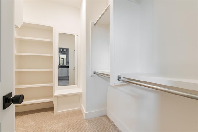 walk in closet with light carpet