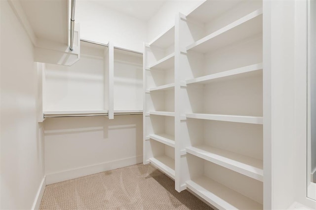walk in closet featuring carpet flooring