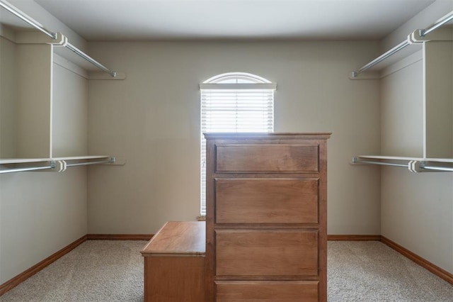 spacious closet with carpet flooring