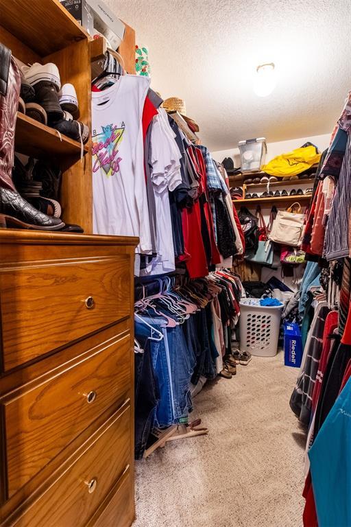 walk in closet featuring carpet flooring